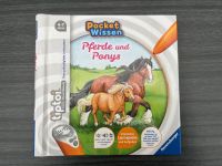 Pocket Wissen Pferde und Ponys Dithmarschen - Burg (Dithmarschen) Vorschau