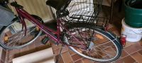 Fahrrad Damenfahrrad Pegasus lila Hessen - Hessisch Lichtenau Vorschau
