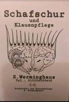 Schafschur, Klauenpflege, Schafe, Klauenpfleger, Schafscherer Nordrhein-Westfalen - Büren Vorschau