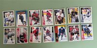 Diverse Tradingcards Eishockey, 14 x NHL( 96)& 9 x DEL,Upper Deck Bayern - Stein Vorschau