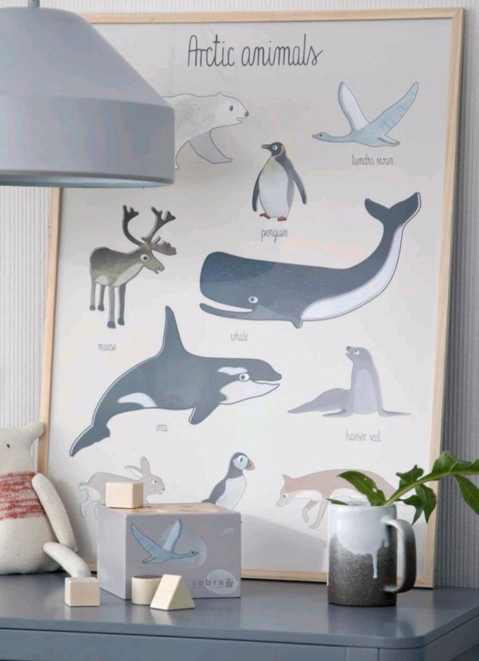 Skandi Sebra Plakat Poster Kinder arctic animals arktische Tiere in Bargteheide