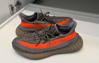 Adidas Yeezy Boost Köln - Nippes Vorschau