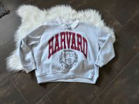 Harvard Damen Sweatshirt Gr.L oversized Hoodie mit weißen Kragen Niedersachsen - Peine Vorschau