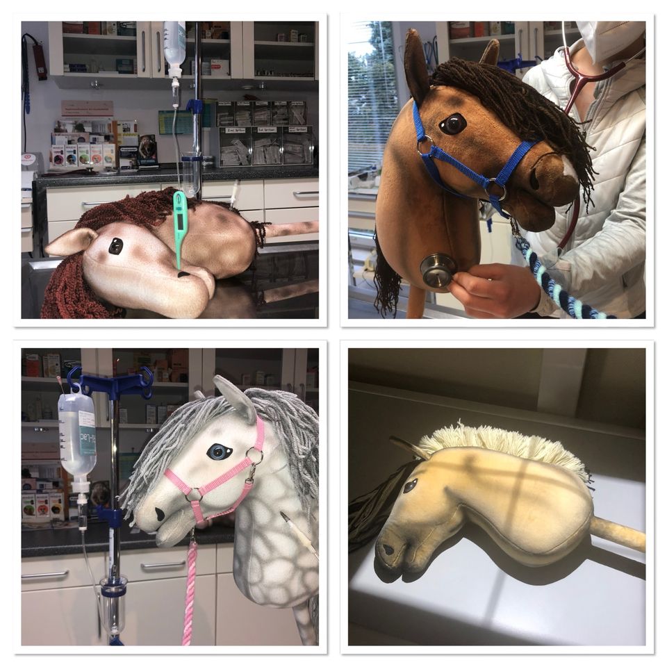 Hobby Horse Steckenpferd Handarbeit Onlineshop in Dallgow