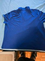Poloshirt zu verkaufen Hessen - Brachttal Vorschau