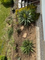 Gartenarbeit Nordrhein-Westfalen - Burbach Vorschau