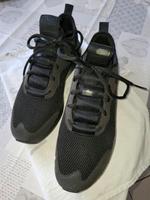 Sneaker von Puma Brandenburg - Glienicke/Nordbahn Vorschau