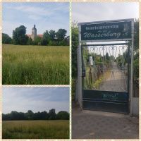 Gartengrundstück/ Kleingarten / Schrebergarten in 39435 Egeln Sachsen-Anhalt - Egeln Vorschau