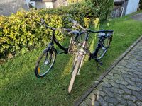 2x Pegasus Avanti 26", Mädchen, Zwillinge Nordrhein-Westfalen - Eslohe Vorschau