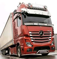 EDELSTAHL SCHEIBENGITTER MERCEDES ACTROS MP4/MP5 Hessen - Lampertheim Vorschau