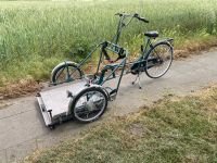 Rollstuhlfahrrad Lastenfahrrad Van Raam Velo Plus zu verkaufen Nordrhein-Westfalen - Wesel Vorschau