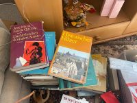HAUSHALTSAUFLÖSUNG diverse Bücher Thüringen - Saara Vorschau
