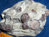 Mineralien, kleine Sammlung, Achat, Granat, Calcit, Wismut Bayern - Mainleus Vorschau
