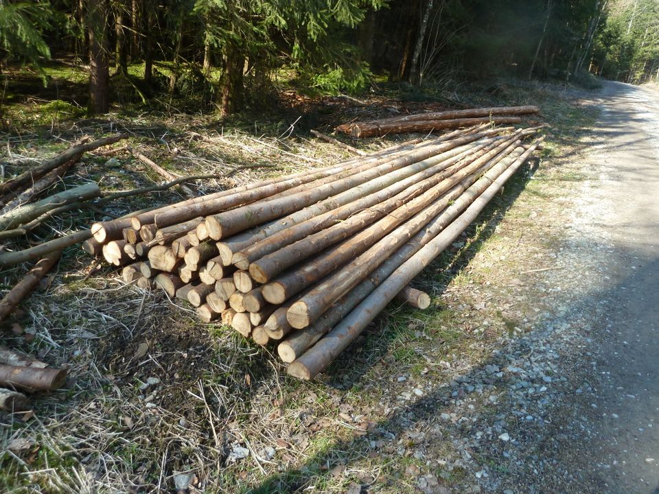 Bohnenstangen,Tipi-Fichte-Stangen,Holz Rundholz(Fi. u.Lä.),Pfähle in Wolpertswende