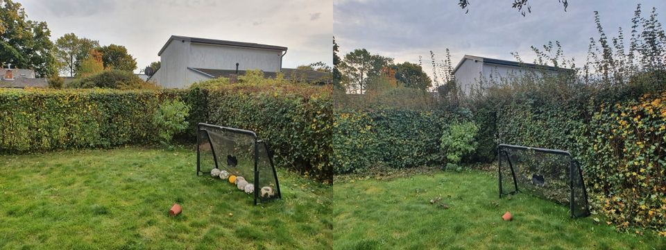 Gärtner Gartenservice Gartenpflege Rasenmähen Terrassenreinigung in Kiel