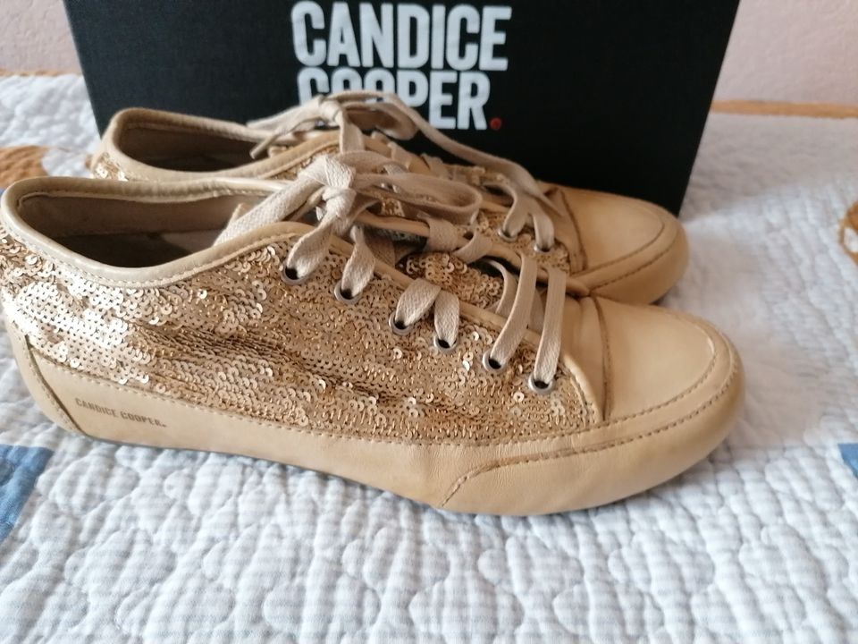 Sneaker von Candice Cooper gr 39 sehr gut erhalten. in Dortmund