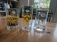 Bierkrug Borussia Dortmund BVB Münster (Westfalen) - Mauritz Vorschau