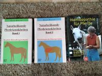 Naturheilkunde, Homöopathie für Pferde Hessen - Grebenhain Vorschau