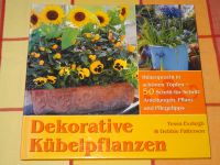 Dekorative Kübelpflanzen / Autorinnen: T.  Eveleth & D. Patterson Bayern - Eggenfelden Vorschau