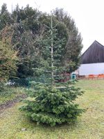 (Bio-)Christbaum/ Weihnachtsbaum abzugeben (Nordmanntanne) Bayern - Wiesenthau Vorschau