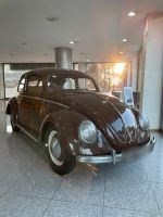 Volkswagen Käfer Brezel 1951 Nordrhein-Westfalen - Herford Vorschau