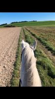 Pflege/Reitbeteiligung zu vergeben Bayern - Regensburg Vorschau