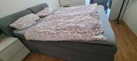 boxspringbett 160x200 Baden-Württemberg - Waldkirch Vorschau