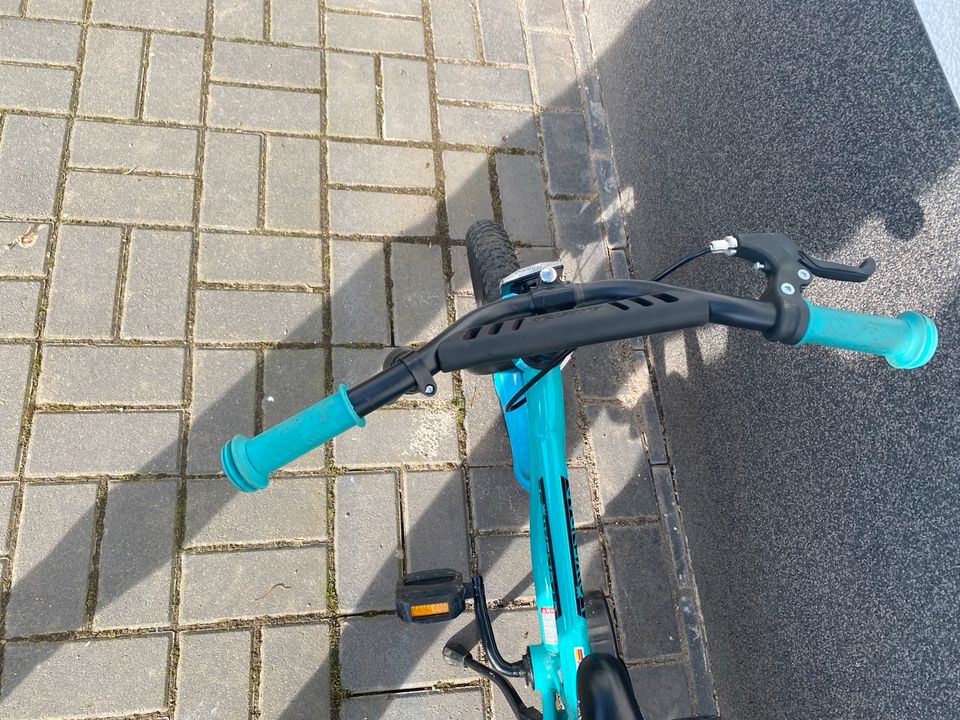 Kinderfahrrad Mädchen oder Jubge in Bad Lauterberg im Harz