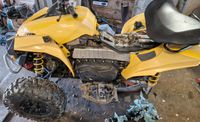 Suche Can AM Renegade Outlander 800 unfall motorschaden defekt Nordrhein-Westfalen - Petershagen Vorschau