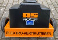 AS41 Vertikutierer, Elektro, AS Motorgeräte, Arbeitsbreite 41 cm Hessen - Roßdorf Vorschau