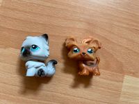 2x Littlest Pet Shop Figuren Katze und Hund Nordrhein-Westfalen - Goch Vorschau