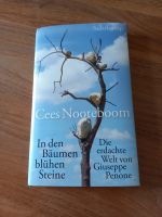 Cees Nooteboom In den Bäumen blühen Steine Bayern - Kitzingen Vorschau