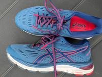 ASICS LAUFSCHUHE 40 BLAU TURNSCHUHE SCHUHE NEU Hamburg - Bergedorf Vorschau