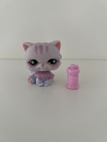 Littlest Pet Shop Spielfigur Katze #891 / Sammelfigur LPS Hessen - Hanau Vorschau