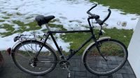 Rabeneick Fahrrad 28“ Herrenfahrrad Lübeck - Travemünde Vorschau