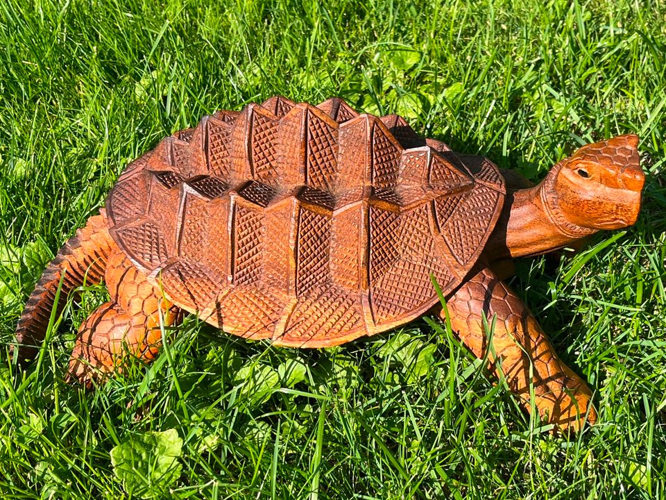 Schildkröte 30cm Landschildkröte Holzschildkröte Holz in Essen