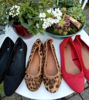 ♥️ Ballerina in rot schwarz gold & leopard Größe 38 Baden-Württemberg - Brackenheim Vorschau