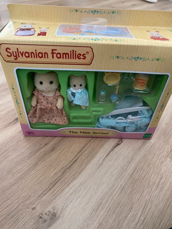 Sylvanian Families > the new arrival in Wangen im Allgäu