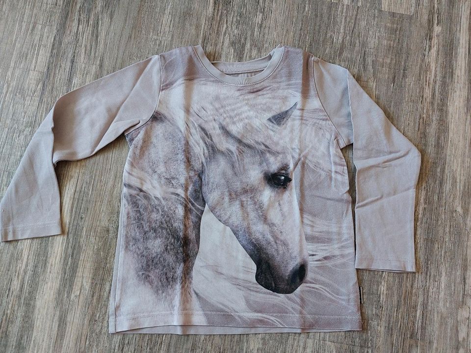 Jakoo Langarmshirt Pferd Gr. 110/116 in Viersen