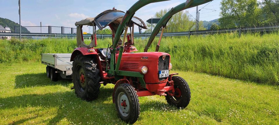 Traktor Güldner G 40S in Rheinbrohl
