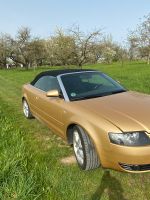 goldener Frühling Baden-Württemberg - Leutenbach Vorschau