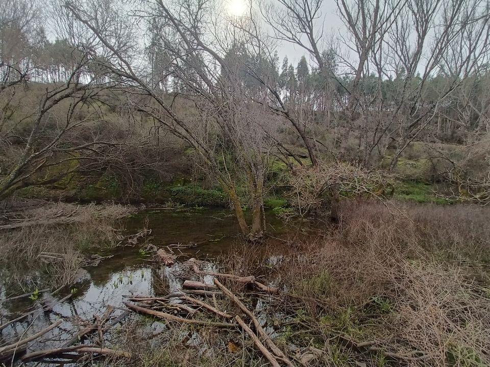 2,7 ha mit einem natürlichen Teich und Bach im Zentralportugal in München