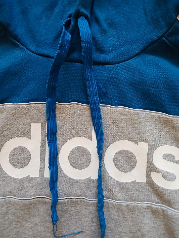 Adidas Sweatshirt in Boizenburg/Elbe