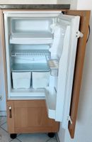 Kühlschrank,Küchenschränke Oberschränke und Rondell Buche Massiv Rheinland-Pfalz - Dreis Vorschau