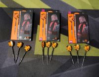 Target: Raymond van Barneveld GEN 3 Steeldarts + Softdarts Nordrhein-Westfalen - Oberhausen Vorschau