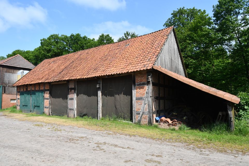 Repräsentative Hofanlage mit Nebengebäuden und ca. 17,5 ha. in traumhafter Alleinlage in Twistringen