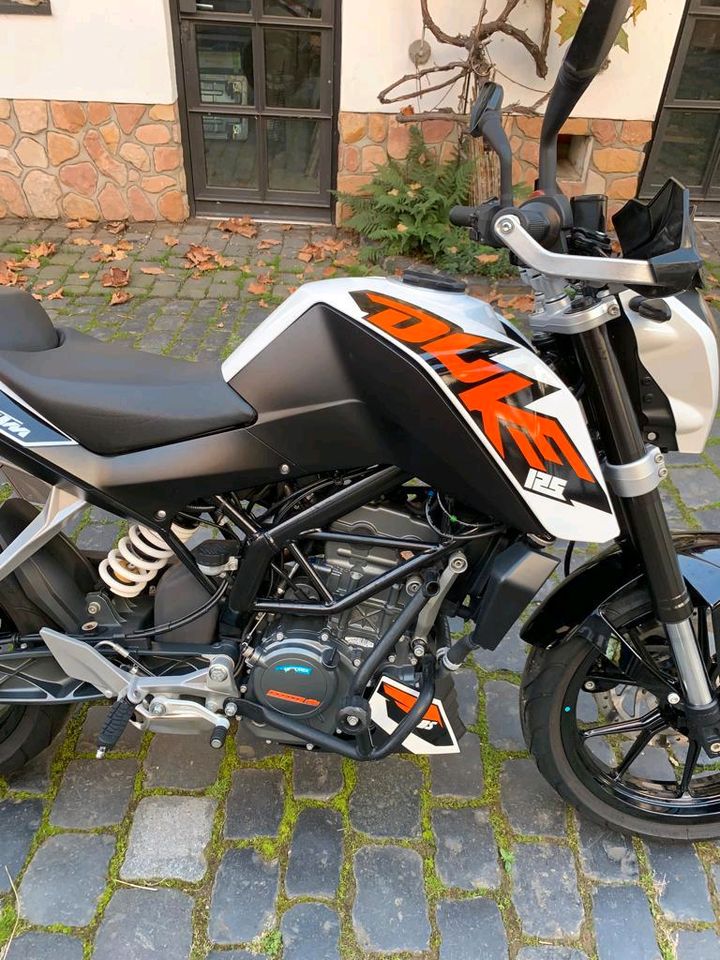 KTM Duke 125 in Bruchköbel