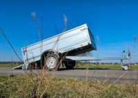 Pongratz L-PAT 250/13 ❌ Universaltransporter mit Bordwandaufsatz Brandenburg - Spremberg Vorschau