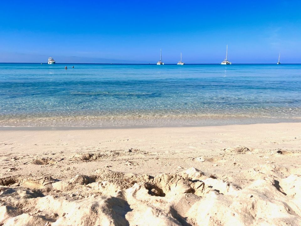 MALLORCA - PFERDEFINCA für Naturliebhaber am Naturstrand Es Trenc in Köln