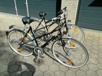 Fahrrad Sport Rad Niedersachsen - Emstek Vorschau